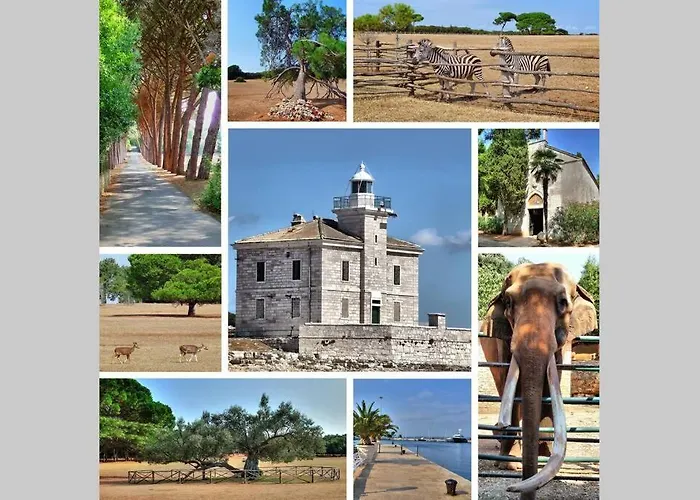 Flora Relax House, Free Parking Vila